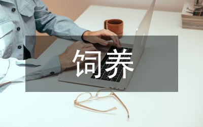 种鹅饲养技术要点